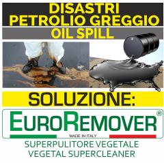 01a - EUROREMOVER