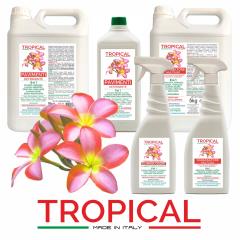 00T - TROPICAL 